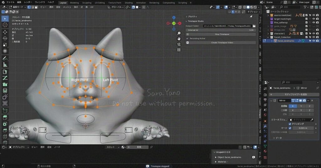 Faceitで猫の顔のリギング。正面