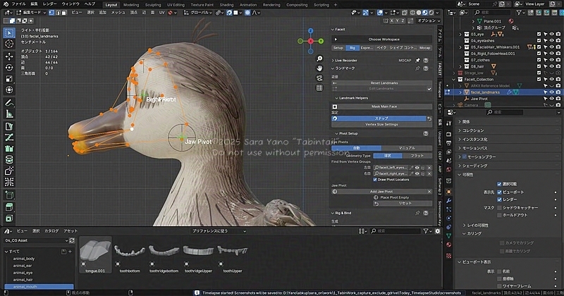 アドオンFaceit使用。鴨、鳥のリギング