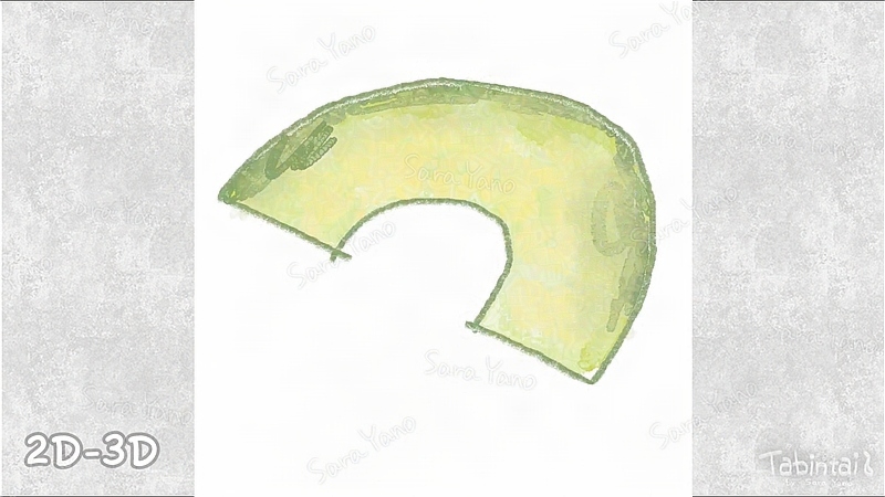 アボカドを描く